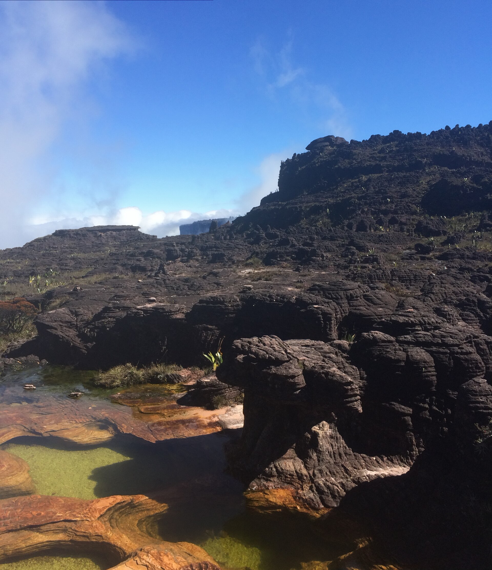 Piscinas naturais no topo do Monte Roraima