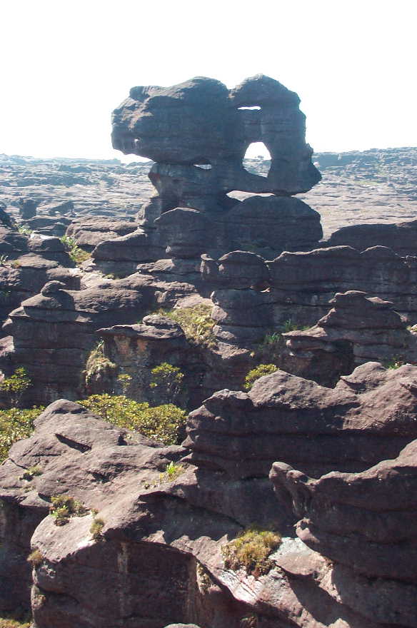 Rocha esculpida pela erosão no topo do Monte Roraima