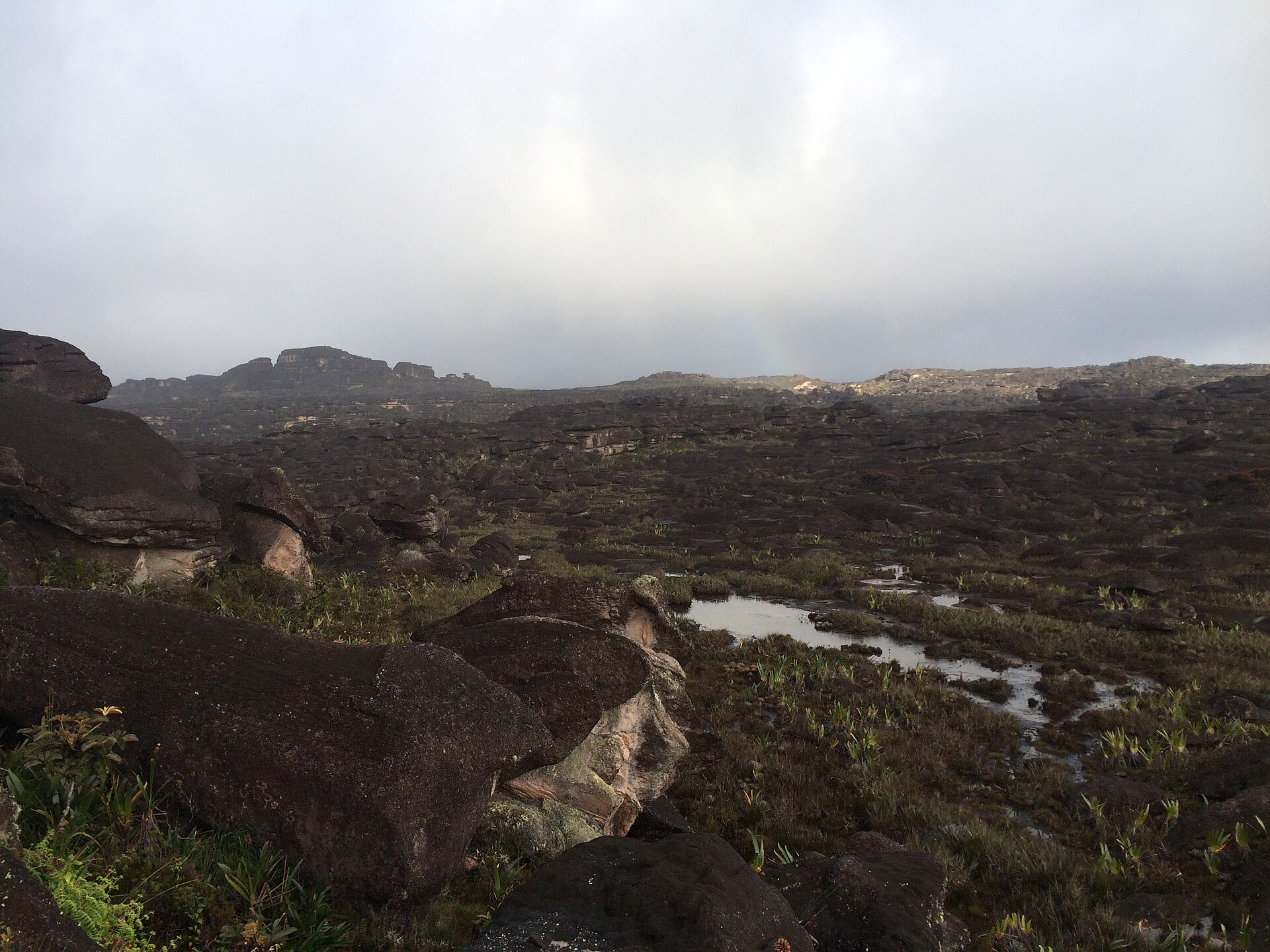 Topo do Monte Roraima com rochas e poças de água